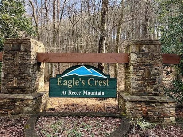 0 Reece Mountain Rd Lot 1, Ellijay, GA 30536