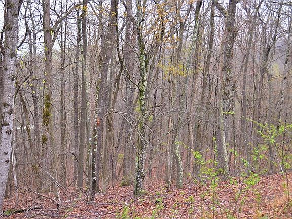 2nd image of 1 Overlook Trl Lot 1C