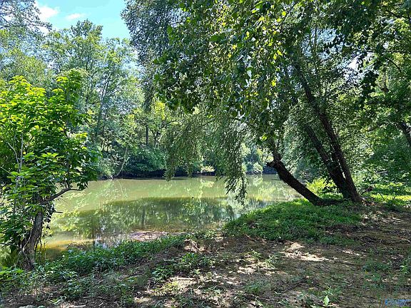 2nd image of LOT 34 County Road 336