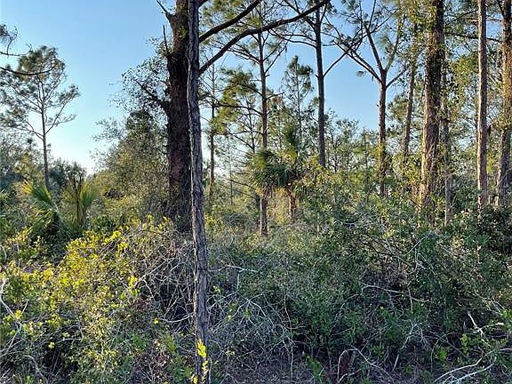 3rd image of 1215 HARBOUR BREEZE COURT LOT 9