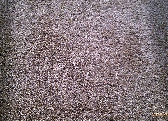 New carpet throughout