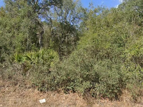 SE 214 TERRACE LOT 14, UMATILLA, FL 32784