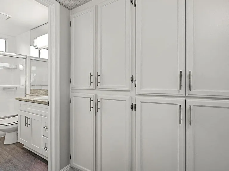 Copious and well designed in-unit storage.