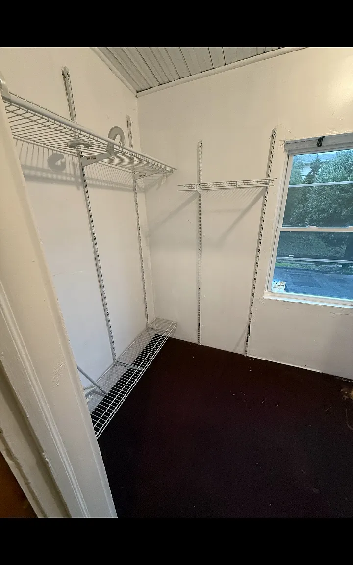 3 bed, $2,450 — Photo 4