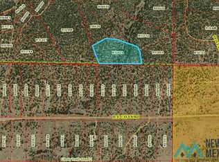 12539-16.545 Oso Ridge Lookout Rd, Grants, NM 87020