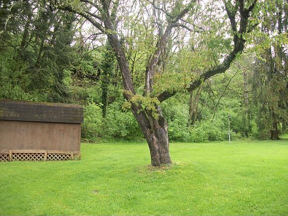 4th image of 122 Sycamore Dr