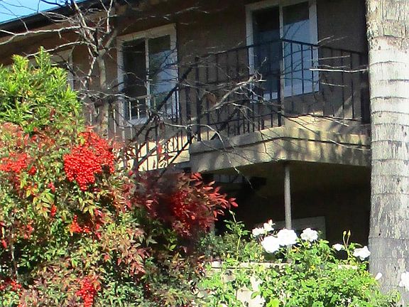 2nd image of 1165 E Hollyvale St APT 22