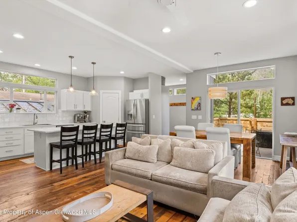 55 Bear Trl, Aspen, CO 81611