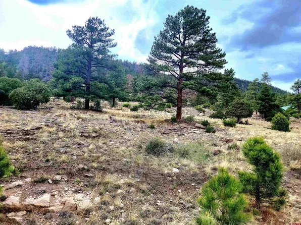 Lot 42 Ellingwood Drive, South Fork, CO 81154