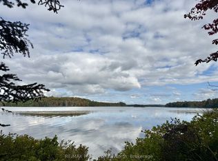 9 Axe Lake Rd, McMurrich/monteith, ON P0A 1Y0