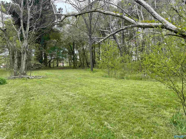 1116 Fruit Farm Rd E, Fort Payne, AL 35967