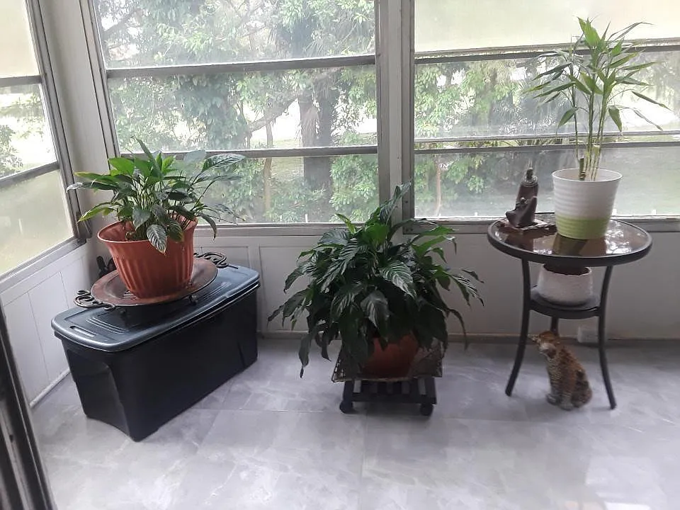2 bed, 2.0 bath, 1100 sqft, $2,000 — Photo 2