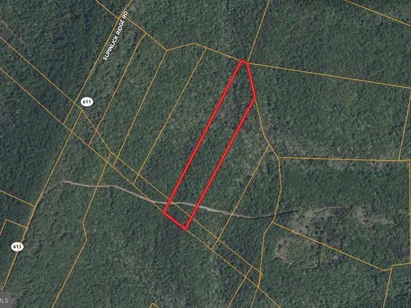 Supinlick Ridge Rd, Mount Jackson, VA 22842