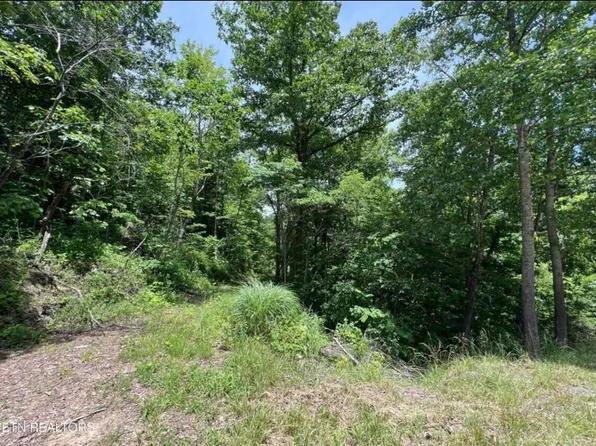 50 Acres Hwy #1595, Frakes, KY 40940