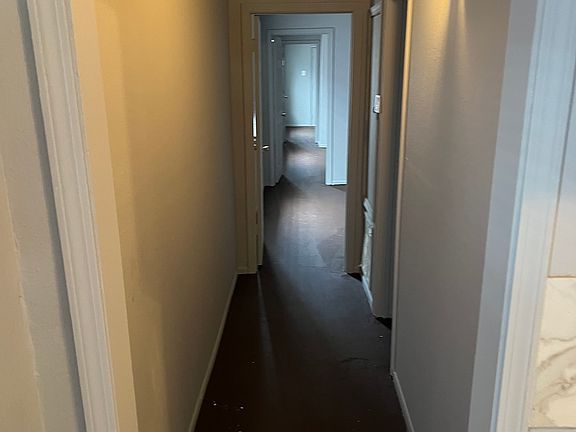 5th image of 4129 Hollygrove St