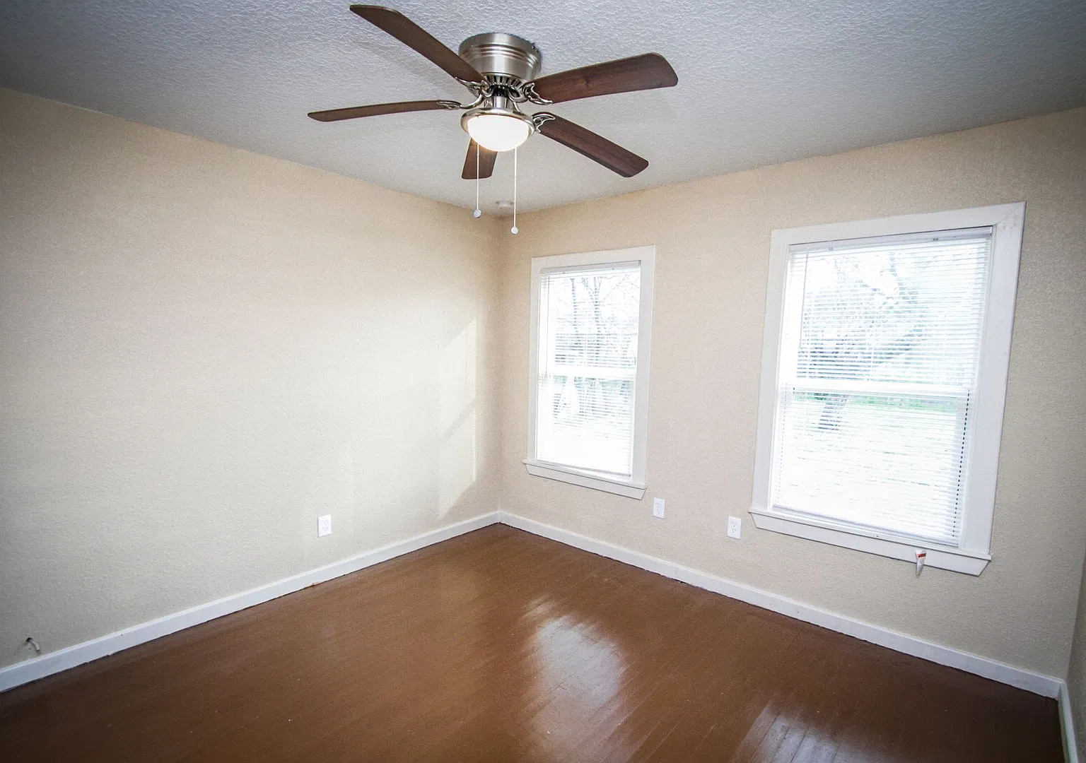 934 Poinsettia — Photo 2