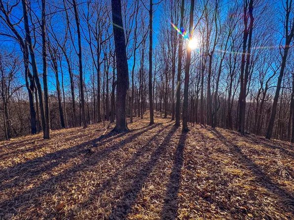 0 Horseneck Rd, Waverly, WV 26184