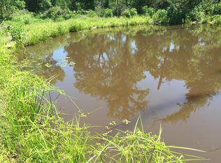 Bedias Dr, Bedias, TX 77381