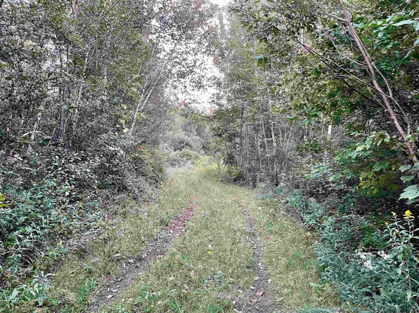 7228 State Highway 56, Norwood, NY 13668