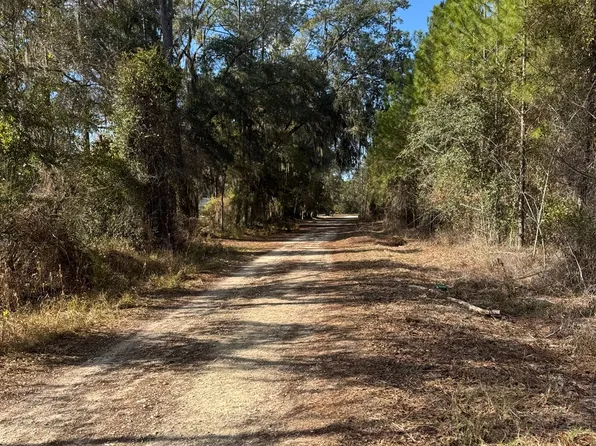 SE Beulah Tyre Ln, Lake City, FL 32025
