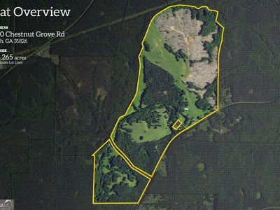 2450 Chestnut Grove Rd, Shiloh, GA, 31826