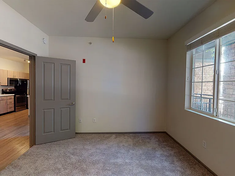 Spacious apartment bedroom with plush carpet flooring.