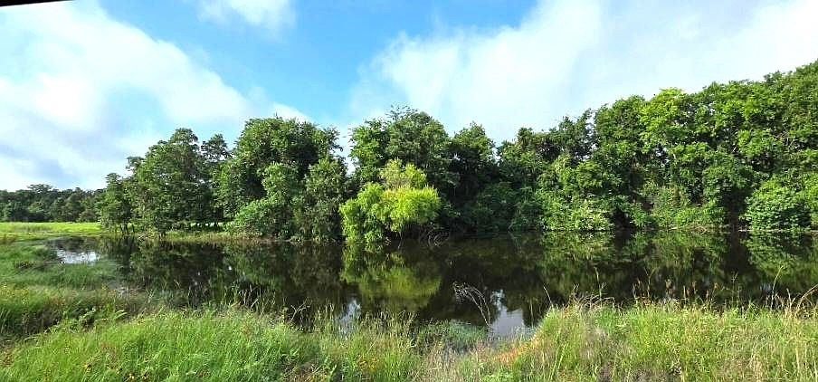 1st image of George Wachel Rd