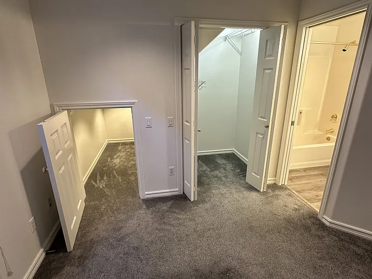 Large/deep storage closet and additional walk-in closet.
