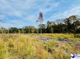 0 Woodbine Ln, Cheraw, SC 29520