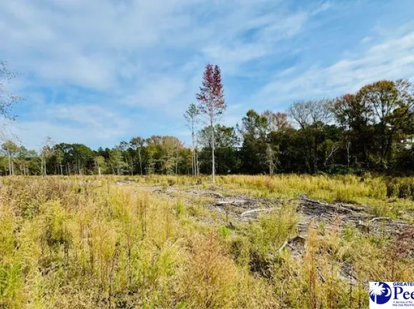 0 Woodbine Ln, Cheraw, SC 29520