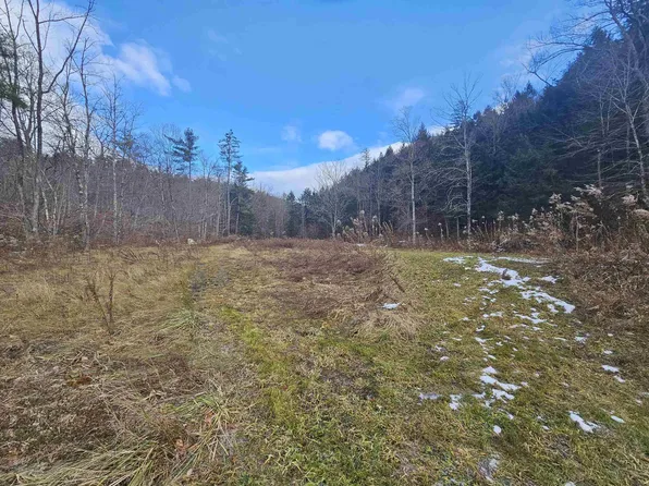 1308 Turkey Mountain Road, Jamaica, VT 05343