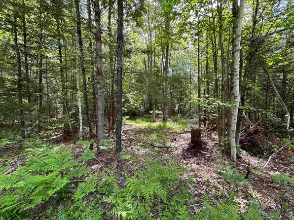 37446 North Shore/Washington Drive, Barnstead, NH 03225