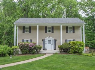 21 La Malfa Rd, Randolph, NJ 07869