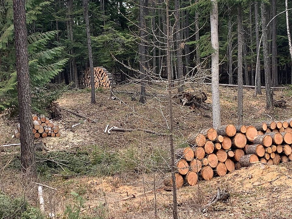 2nd image of 749 Northwoods Dr