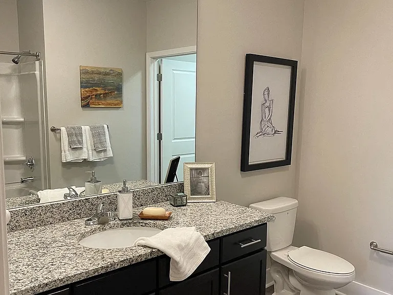 Modern Bathrooms with Granite Countertops and Wood-style Flooring