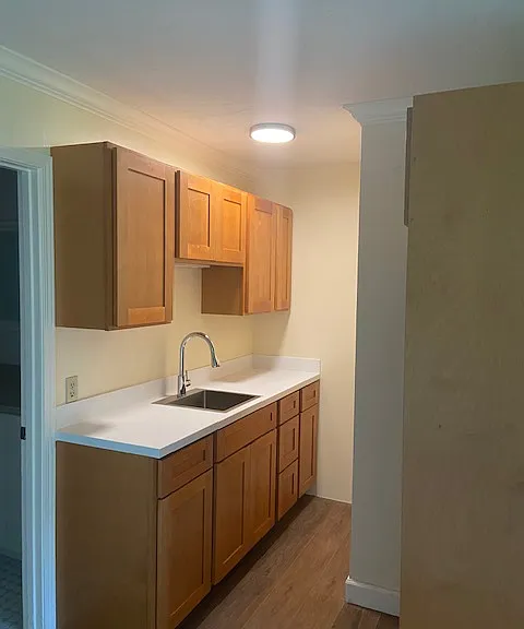 kitchenette cabinet wall/sink counter