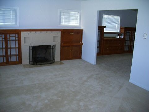Living Room / Fireplace