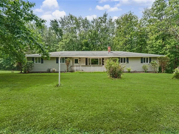 11209 Walnut Rd, Forestville, NY 14062