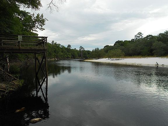 nearby Satilla River.