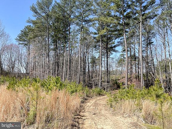 4th image of Yellowbottom Rd