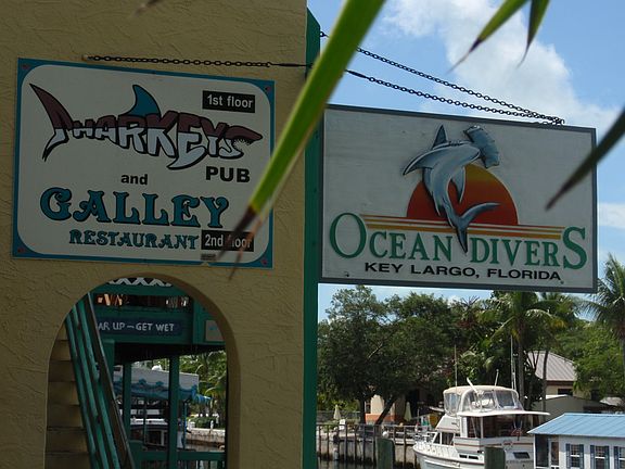 Restaurants walkable