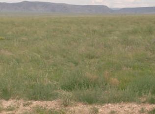 Paloma Loop, Rio Communities, NM 87002