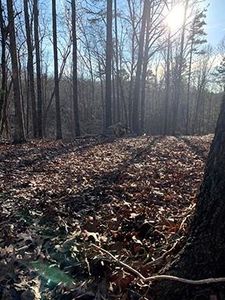 0 Chesterra Dr #43, Dahlonega, GA, 30533