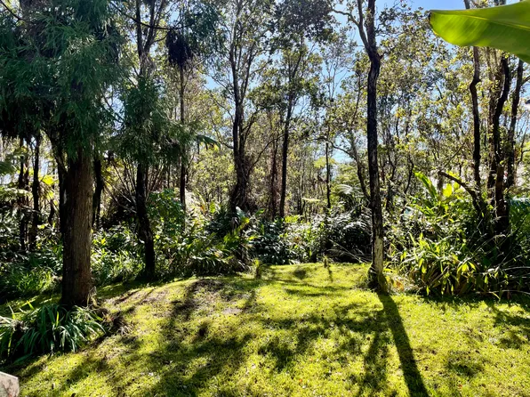 Liona St Lot 53-B-196, Volcano, HI 96785