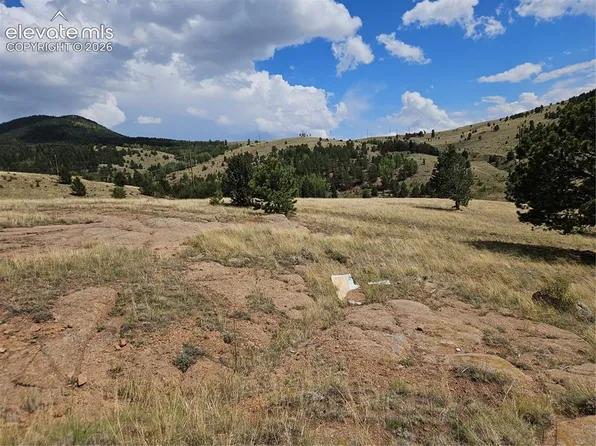 617 S 3rd St, Victor, CO 80860