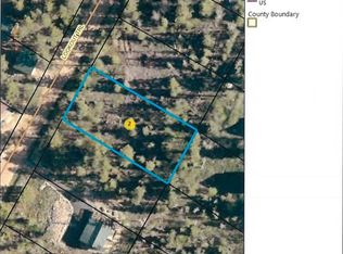 21176 Lookout Trl, Lead, SD 57754