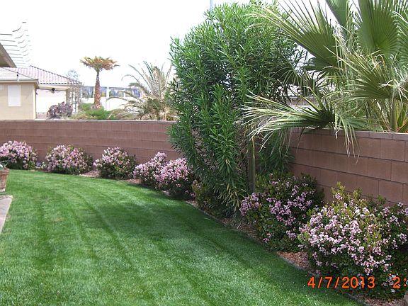 Late Spring backyard