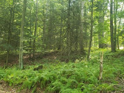 0 Tapeworm Ln, Fairfield, PA, 17320