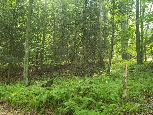 0 Tapeworm Ln, Fairfield, PA 17320