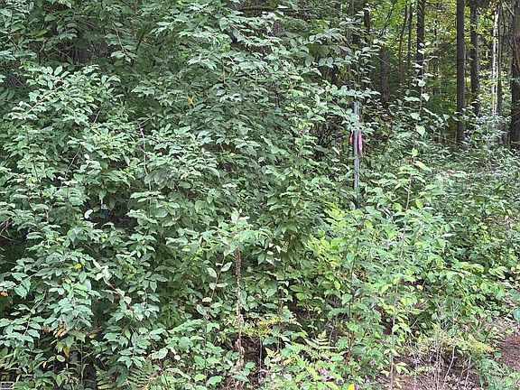 5th image of 4300 Brott Rd
